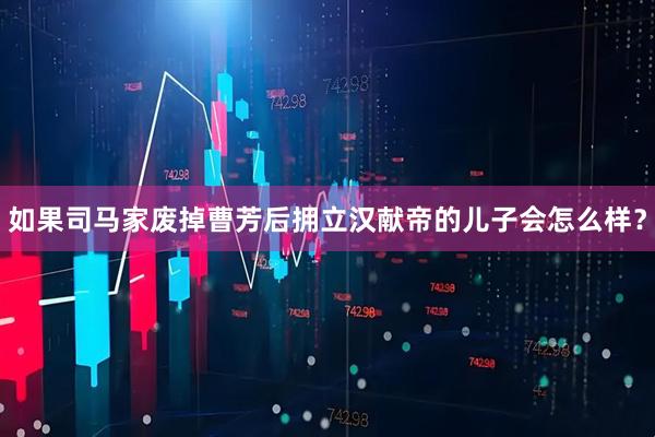 如果司马家废掉曹芳后拥立汉献帝的儿子会怎么样？